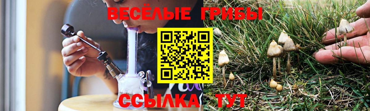 Галлюциногенные грибы мухоморы Новый Уренгой